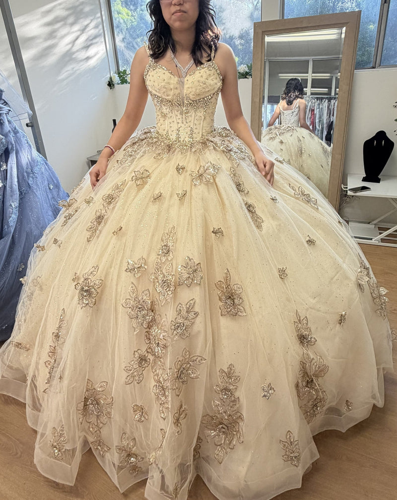 Layla K LK282 Floral QuinceaƱera Ball Gown with Beaded Corset Bodice