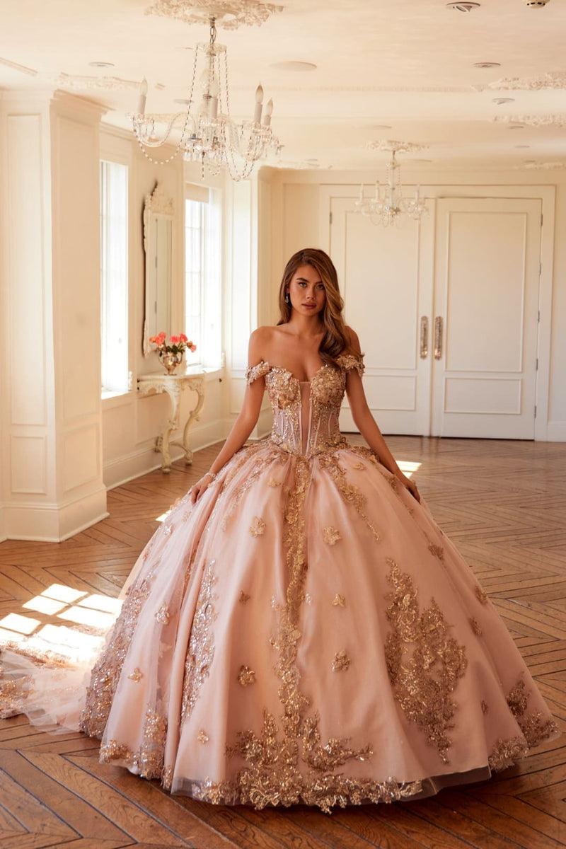 3D Butterfly Off Shoulder Ball Gown by Juliet JT1485J