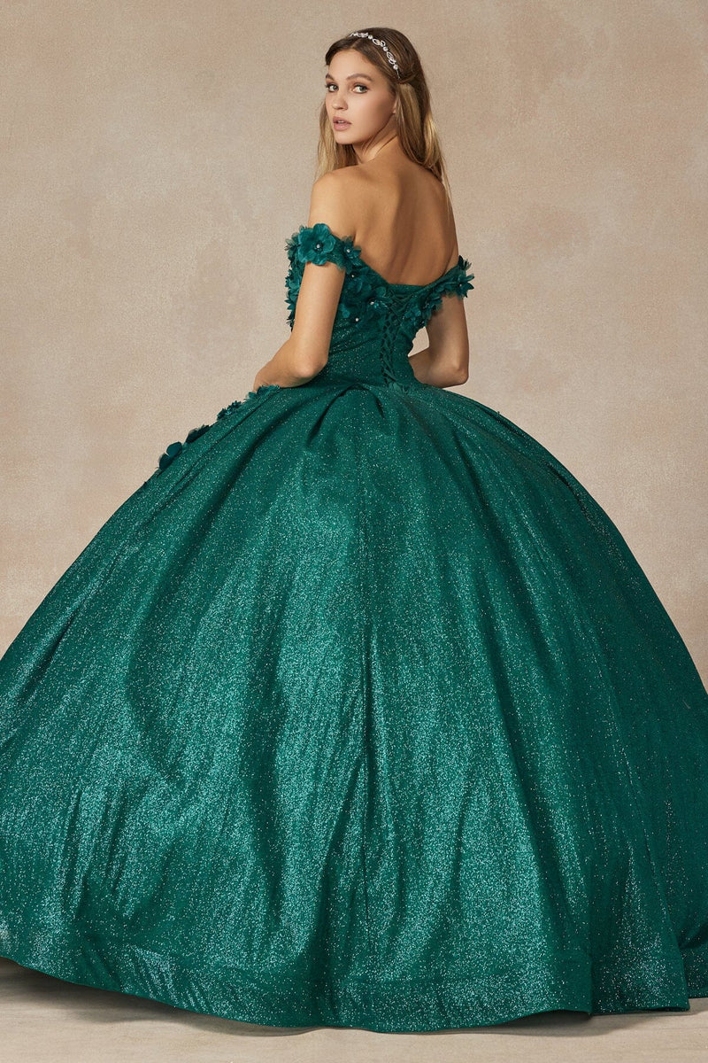 Juliet 1433 3D Floral Lace Glitter Tulle Off Shoulder Quinceanera Dress