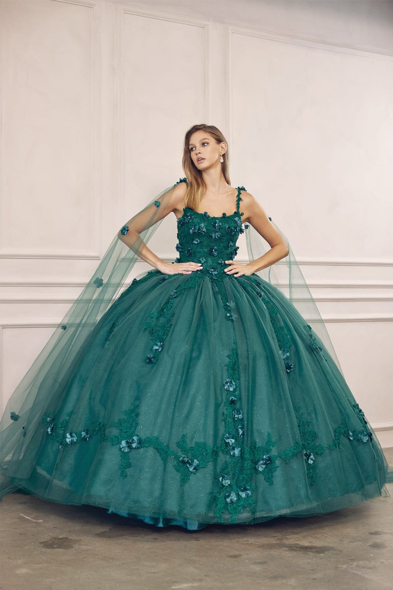 Juliet 1436 3D Floral Applique Glitter Tulle Cape Dress
