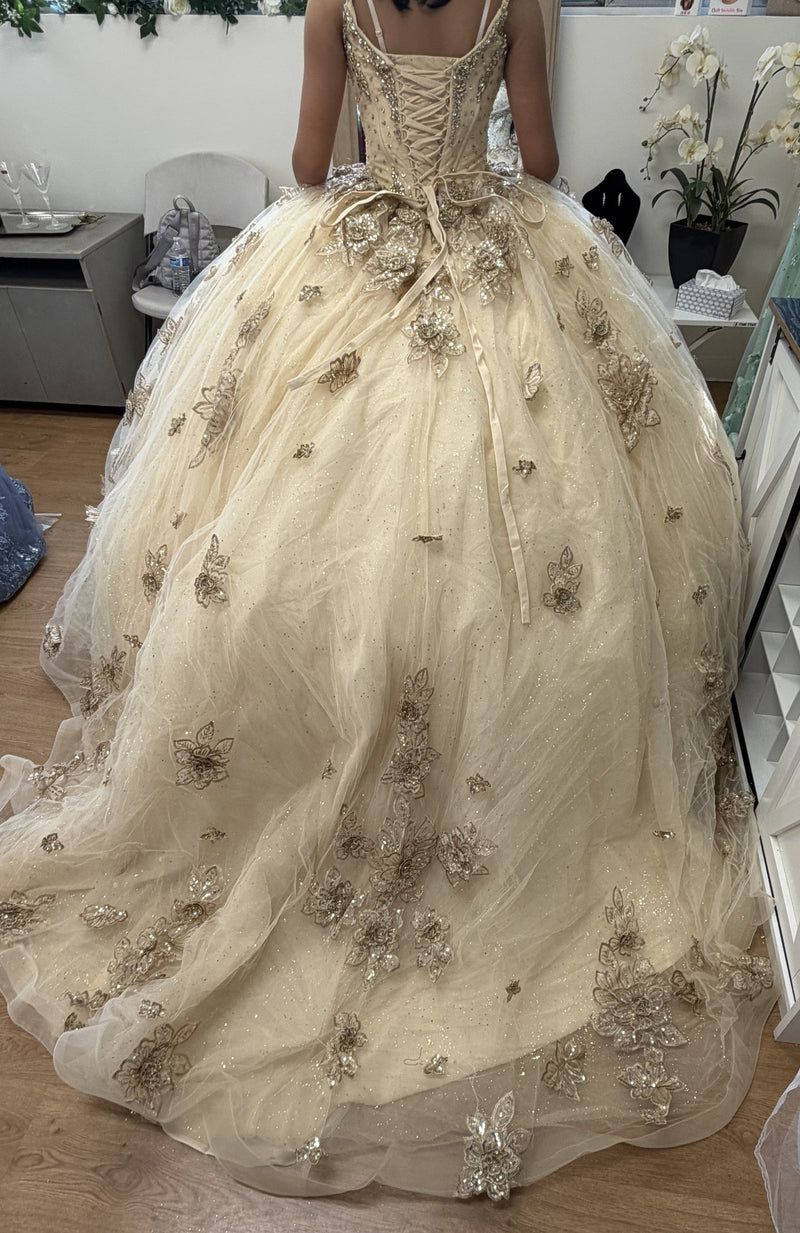 Layla K LK282 Floral QuinceaƱera Ball Gown with Beaded Corset Bodice