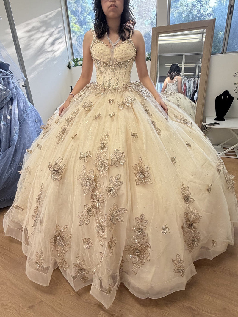 Layla K LK282 Floral QuinceaƱera Ball Gown with Beaded Corset Bodice