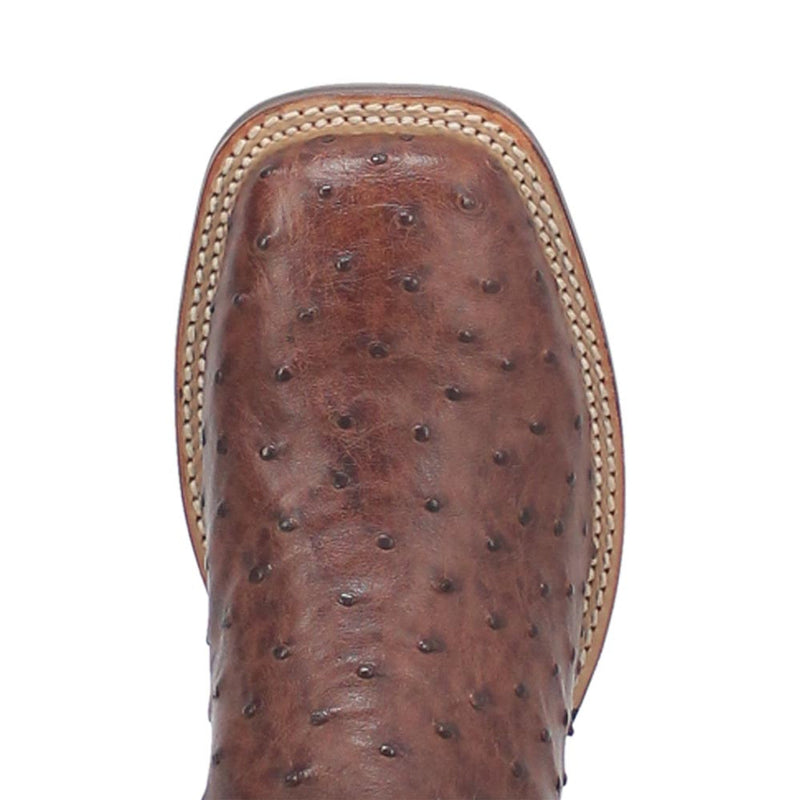 Dan Post Men's Alamosa cowboy boots. Brown genuine ostrich leather with square toe and textured finish. Features contrasting light stitching on top edge.