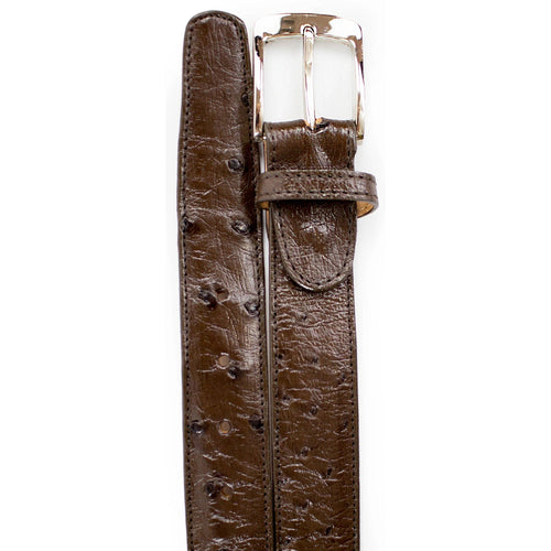 Blue ostrich quill dress belt. Narrow width, structured form. Distinct quill texture. Shiny silver rectangular buckle.