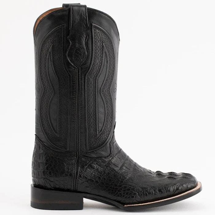 Ferrini Hornback Caiman Dakota