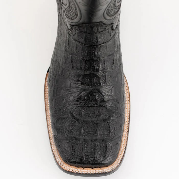 Ferrini Hornback Caiman Dakota