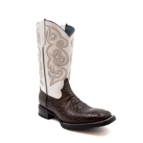 Ferinni Boot - Mens Dress Cowboy Boot - Men's Ferrini Kai Sea Turtle Print Boots Handcrafted Brown in Brown