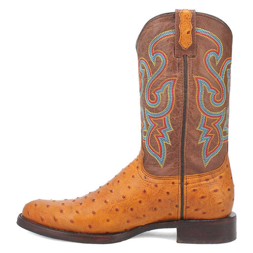Brown ostrich print leather boots with snip toe. Unique texture, multicolored embroidered shaft on brown, stacked heel, and distinct vamp/shaft division.