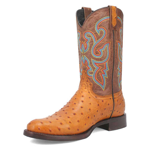 Brown ostrich print leather boots with a snip toe, tan base, and textured detailing. The shaft has colorful blue and red stitching patterns.