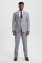 Men's Vested One Button Peak Lapel Stacy Adams Designer Suit in Light Grey