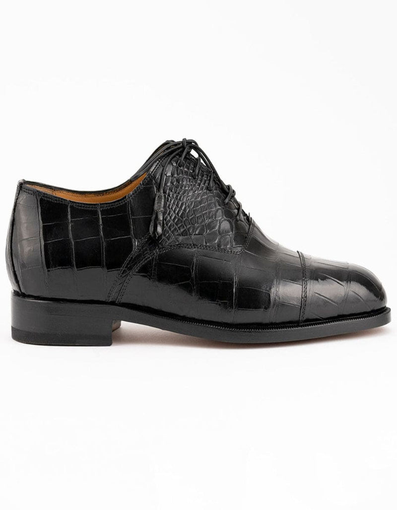 Ferrini Alligator 4234