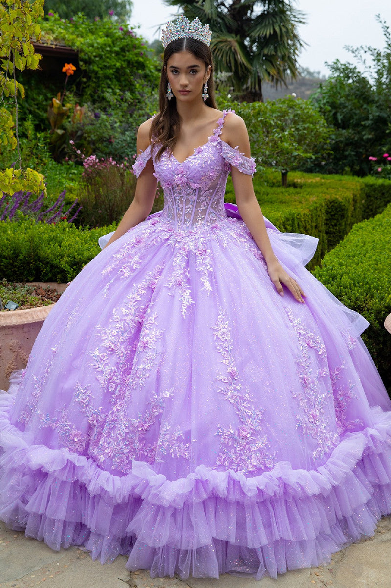 Cold Shoulders Floral Lace QuinceaƱera Ball Gown Glitter Tulle Princess Dress by Elizabeth K GL3520