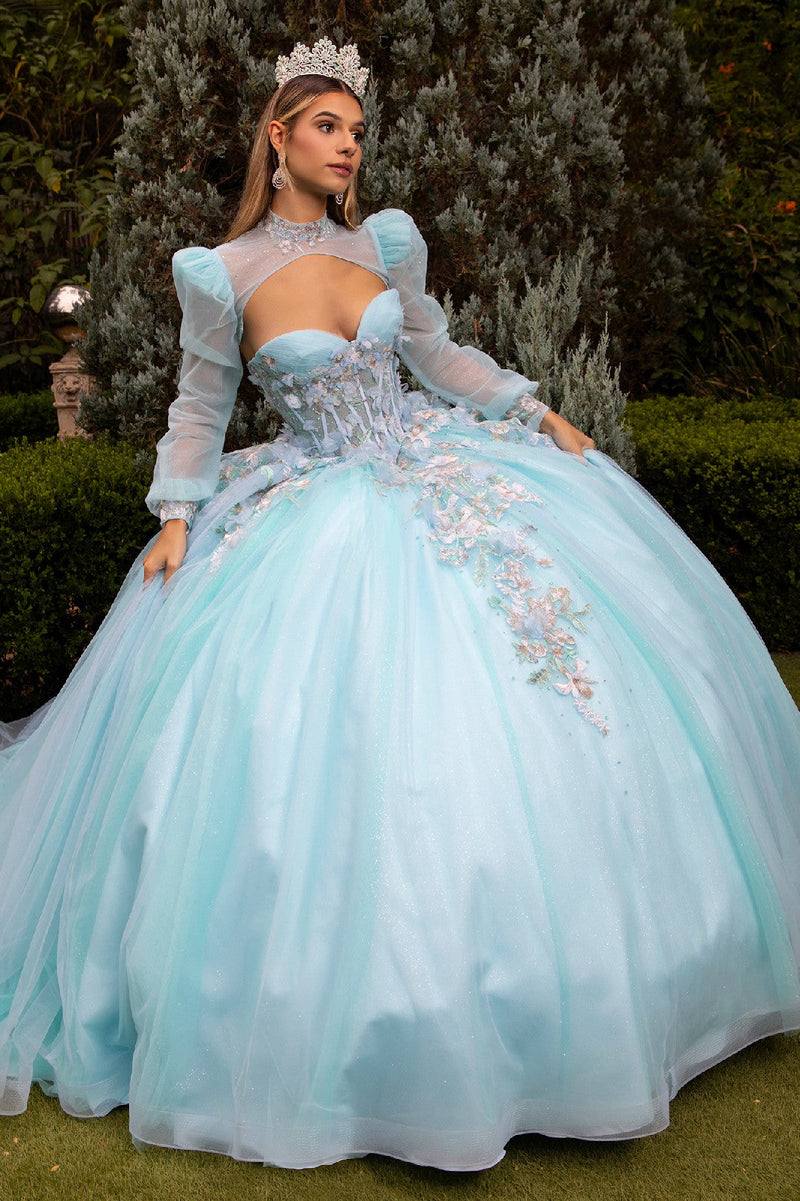 Floral Embroidered QuinceaƱera Ball Gown with Sheer Puff Sleeves by Elizabeth K GL3577