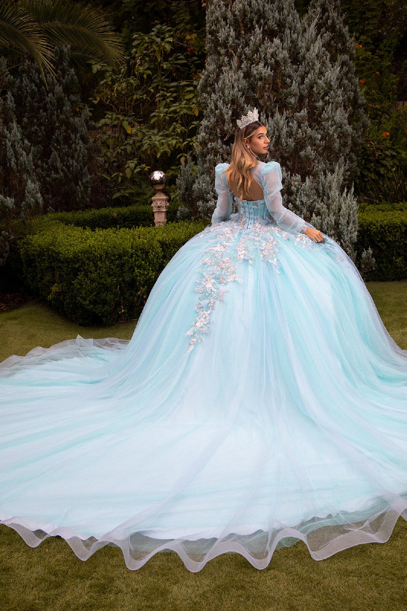 Floral Embroidered QuinceaƱera Ball Gown with Sheer Puff Sleeves by Elizabeth K GL3577