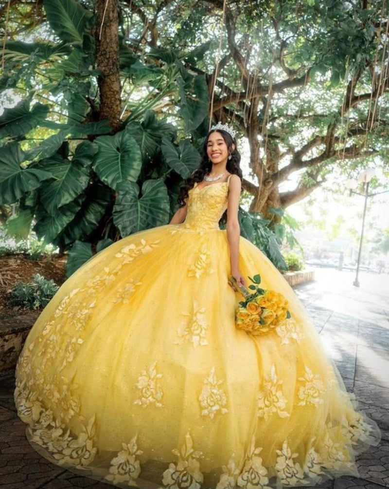 Chicas HF3045 Romantic Printed Glitter QuinceaƱera BallDress V-Neck Tulle Dress