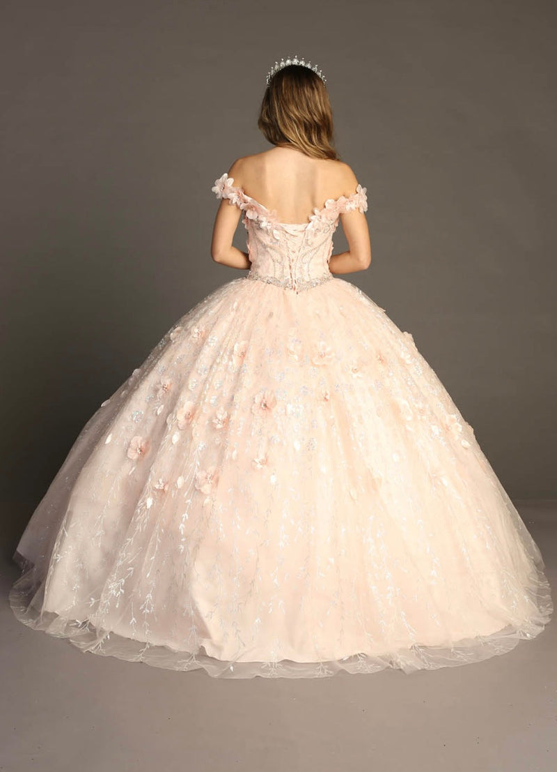 Chicas HF3027 Romantic Printed Glitter QuinceaƱera Blush BallDress Tulle Dress