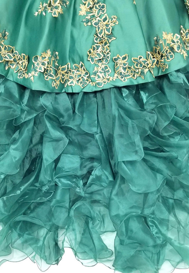 Chicas HF3009 Printed Metallic QuinceaƱera BallDress Strapless Floral Satin Dress