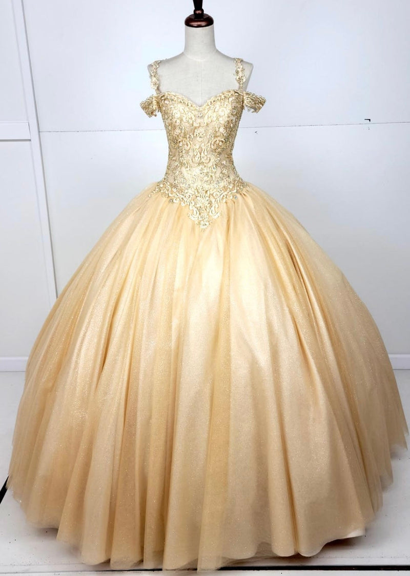 Chicas C1535 QuinceaƱera Royal BallDress Floor-Length Corset Embroidered Tulle Dress