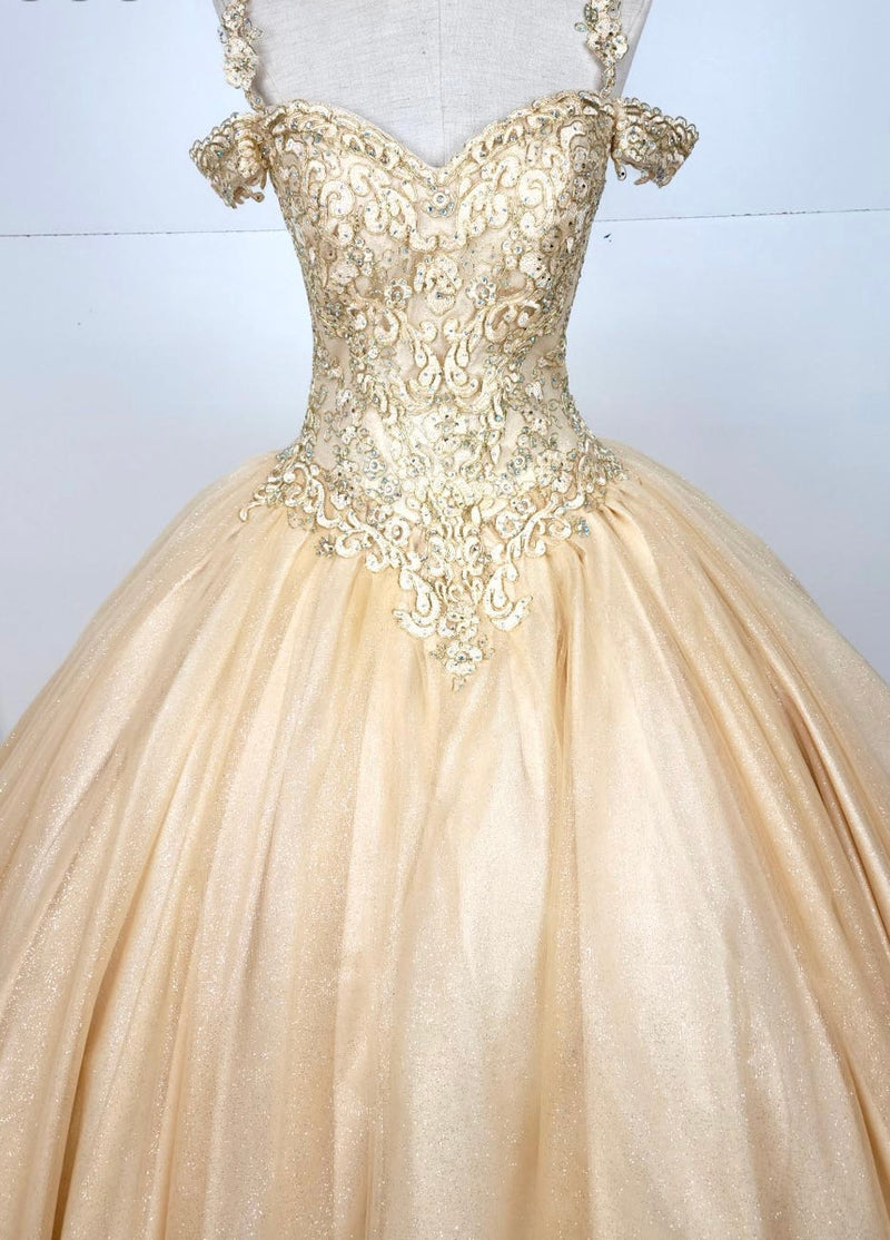 Chicas C1535 QuinceaƱera Royal BallDress Floor-Length Corset Embroidered Tulle Dress