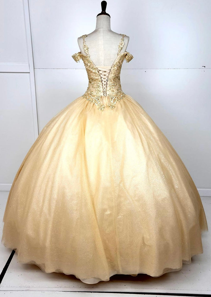 Chicas C1535 QuinceaƱera Royal BallDress Floor-Length Corset Embroidered Tulle Dress