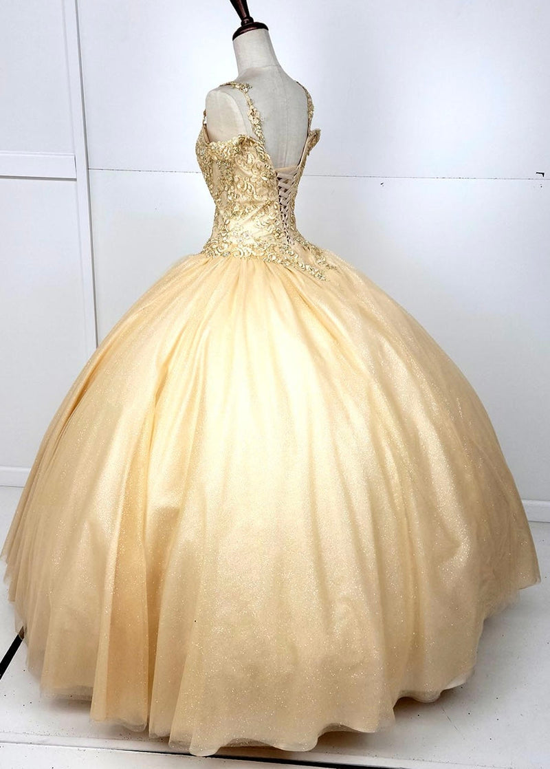 Chicas C1535 QuinceaƱera Royal BallDress Floor-Length Corset Embroidered Tulle Dress