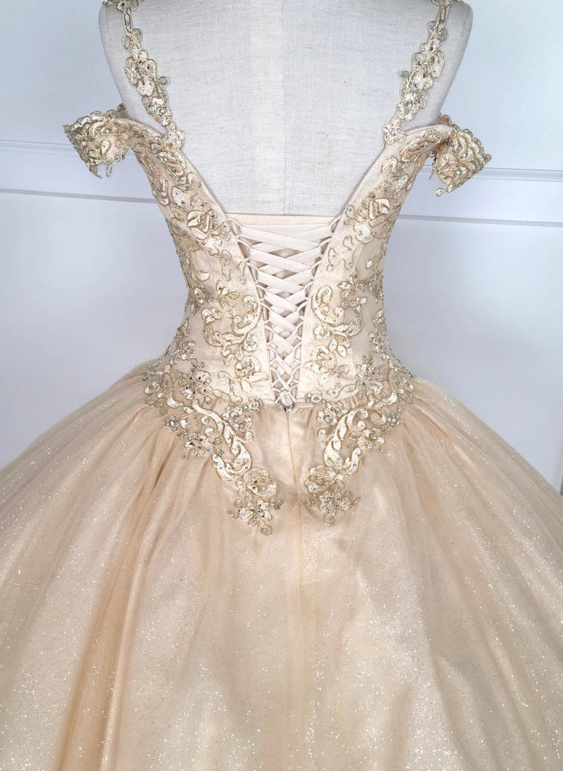Chicas C1535 QuinceaƱera Royal BallDress Floor-Length Corset Embroidered Tulle Dress