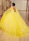Sweetheart 3D Floral Strap Lace Appliqué Glitter Tulle Ball Gown by Rachel Allan MQ2148