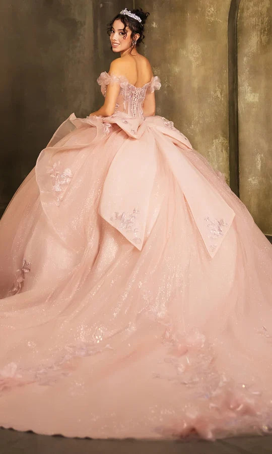 Layla K LK270 Off-Shoulder Floral Applique Ball Gown QuinceaƱera Dress-New Collection