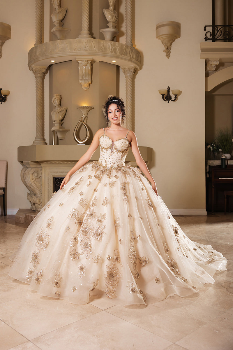 Layla K LK282 Floral QuinceaƱera Ball Gown with Beaded Corset Bodice