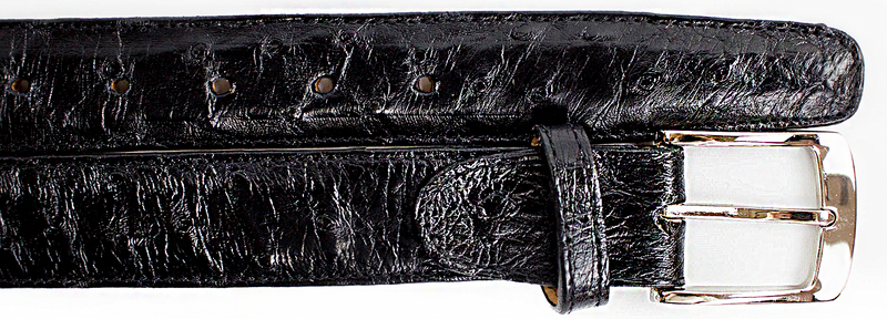 Belvedere Ostrich Quill Belt - Black Luxury Leather