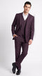 Men’s Plum Modern Fit Suit, Tailored Formal Wedding Business 3 Piece Dress Suit