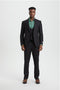 Men's Vested One Button Peak Lapel Stacy Adams Designer Suit in Black