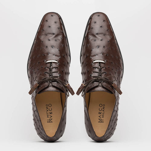 Marco Di Milano Criss Ostrich Quill Dress Oxfords Brown