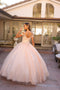Juliet 1430 Cold Shoulder Embroidered Tulle Quinceanera Dress with Corset Back
