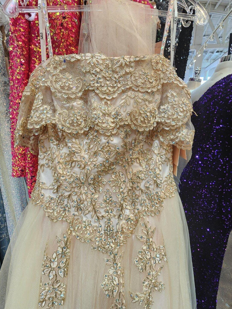 Off Shoulder QuinceaƱera Ball Gown Embroidered Lace-Up Back Floor Length by Elizabeth K GL2510