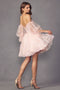 Dama Dresses for Quinceanera in Blush Style 895 Quince Outfit
