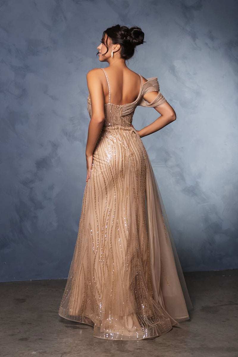 Long Plus Size Prom Dress A-Line Evening Gown By Royal Queen RQ8175B