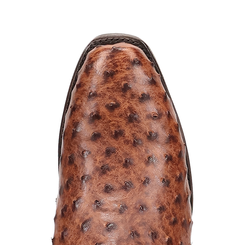 Dan Post Marco Ostrich Boot - Full Quill Luxury