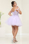 Dama Dresses for Quinceanera in Lilac Style MQ2066 Quince Outfit