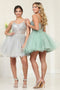 Dama Dresses for Quinceanera in Silver Style MQ2082 Quince Outfit