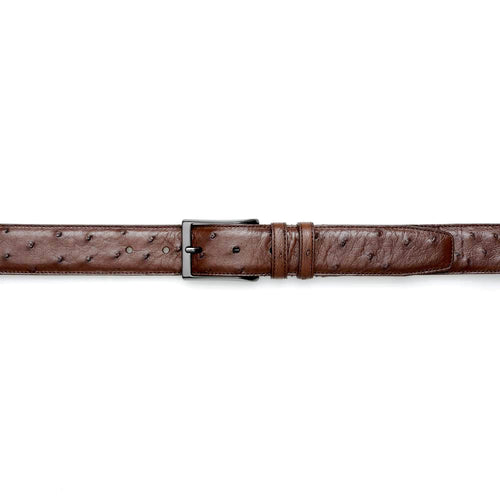 Genuine Mezlan AO8146 ostrich belt in tabac. Smooth, textured surface with small bumps. Black metallic buckle and adjustable strap.