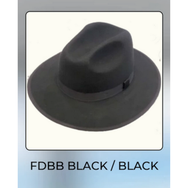 Men's black wool felt fedora. Features a structured, rounded crown and a matching black band. Wide brim extends evenly. Classic style.