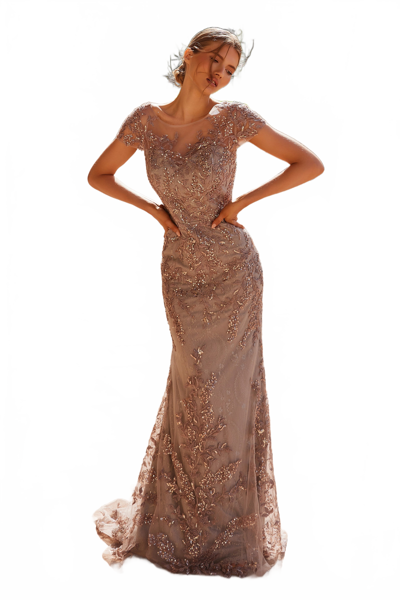 Nox Anabel MT110 Stunning Appliqué Short Sleeve Gown