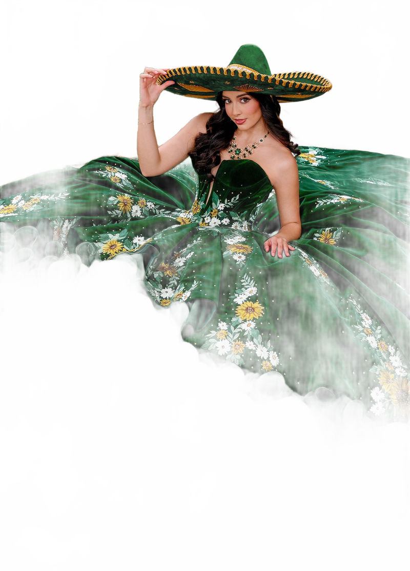 Rachel Allan RQ5005 Floral Velvet Quinceanera Dress