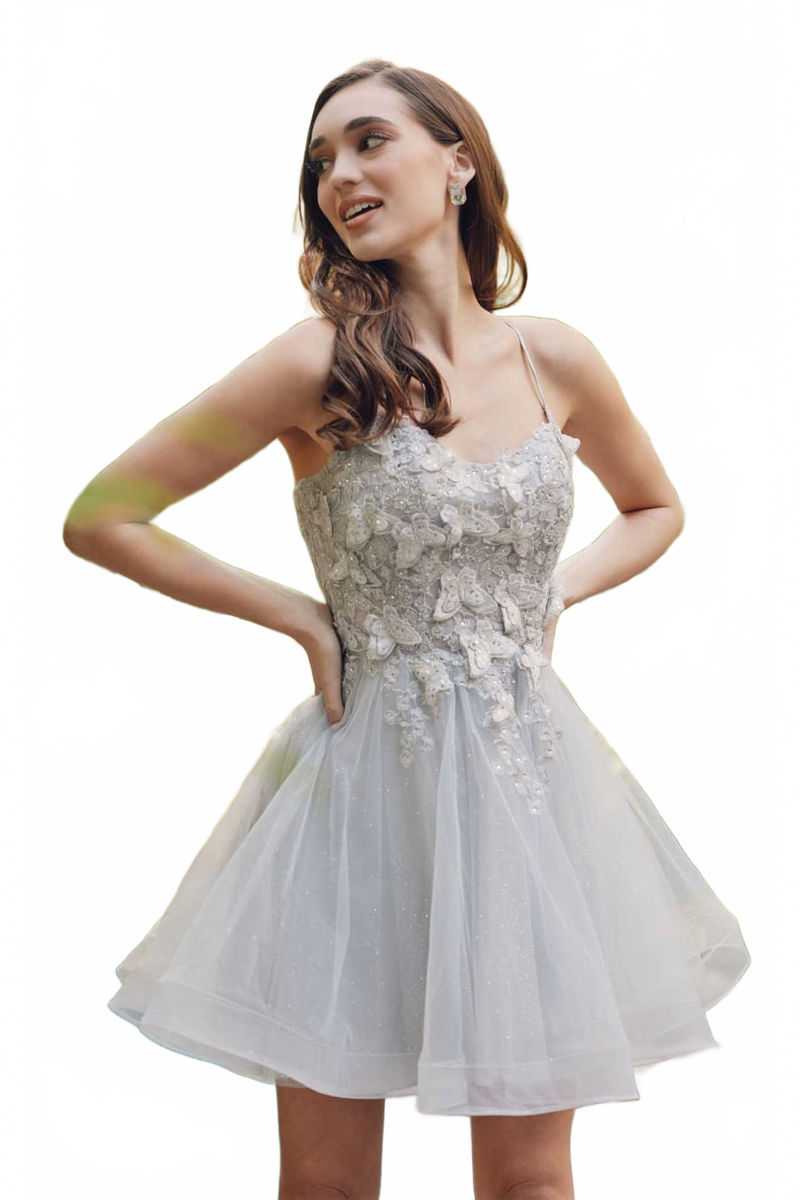 Dama Dresses for Quinceanera in Silver Style 902 Quince Outfit