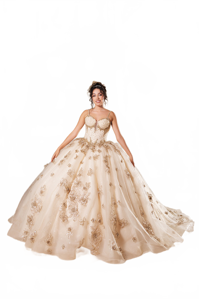 Layla K LK282 Floral QuinceaƱera Ball Gown with Beaded Corset Bodice
