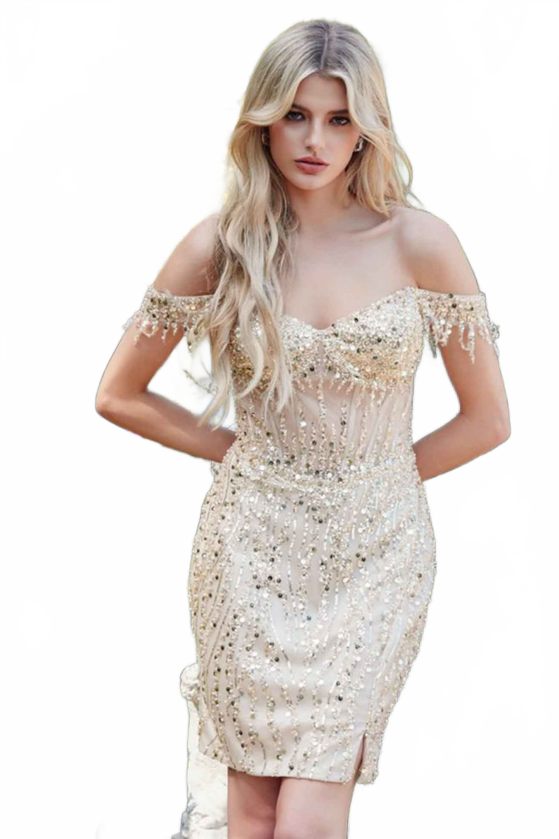 Dama Dresses for Quinceanera in Champagne Style JT919L Quince Outfit