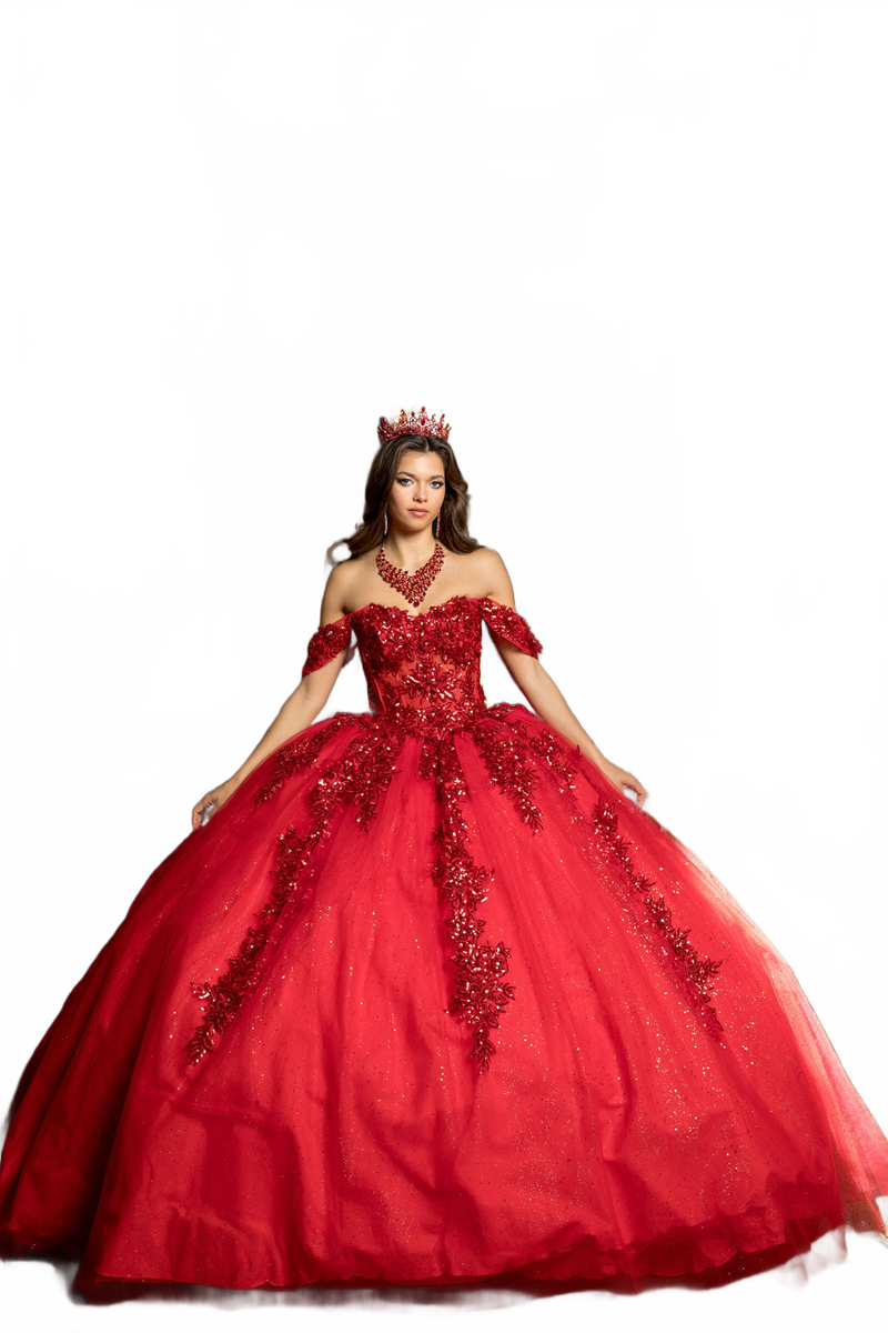Applique Corset Ball Gown by Bella Princess PQ1070