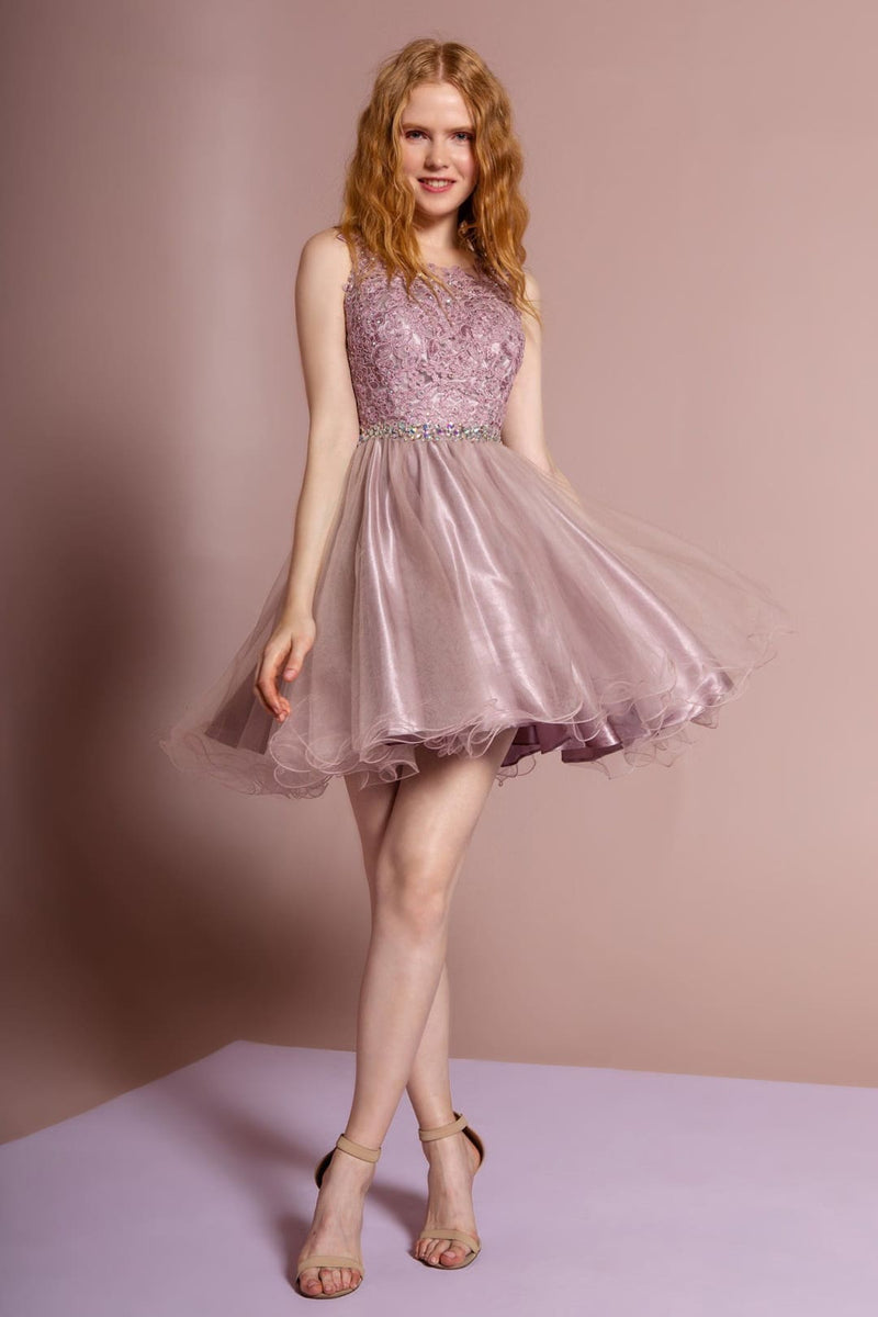 Short Sleeveless Lace Bodice Dress by Elizabeth K GS2375