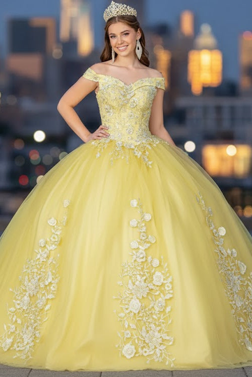 Lilac Ball Gown Dress by Elizabeth K GL2802